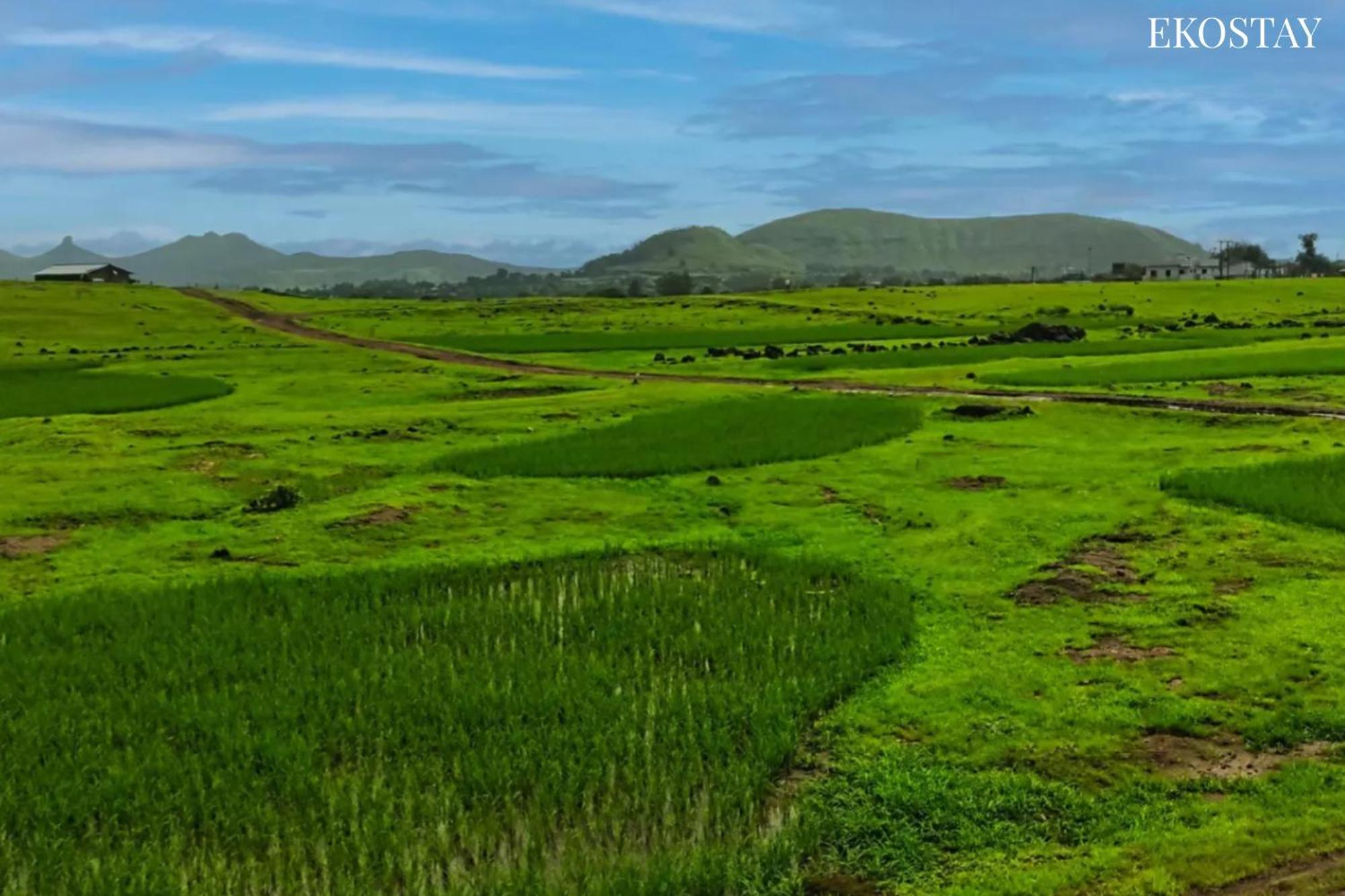 Ekostay - Neptune Villa Igatpuri Eksteriør billede